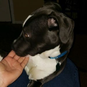 Meet your Posher, Dustin